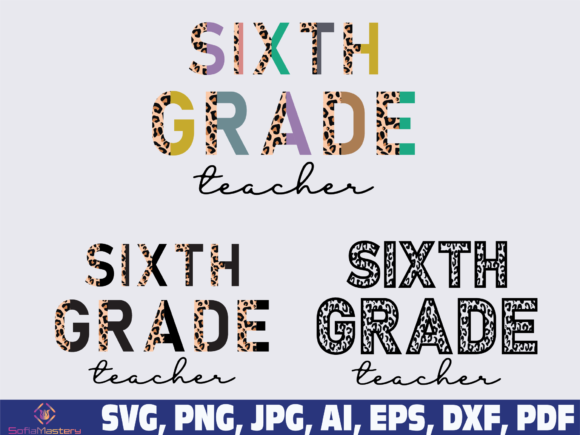 Review: Sixth Grade Teacher Half Leopard Design